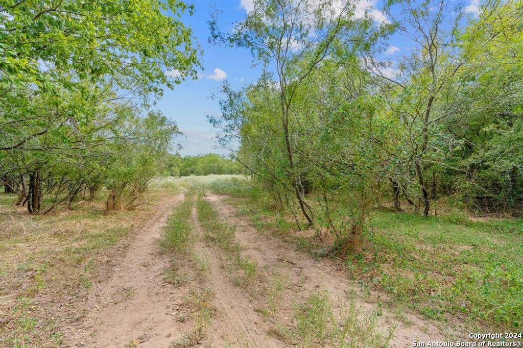 Dale, TX 78616,689 Chamberlin Road