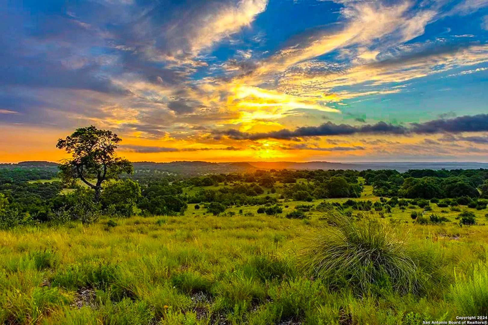 Boerne, TX 78006,LOT 8 Estates at Tapatio at Deep Hollow Dr