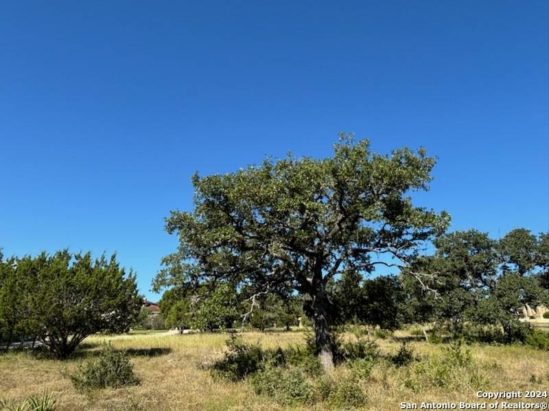 New Braunfels, TX 78132,707 Haven Point Loop