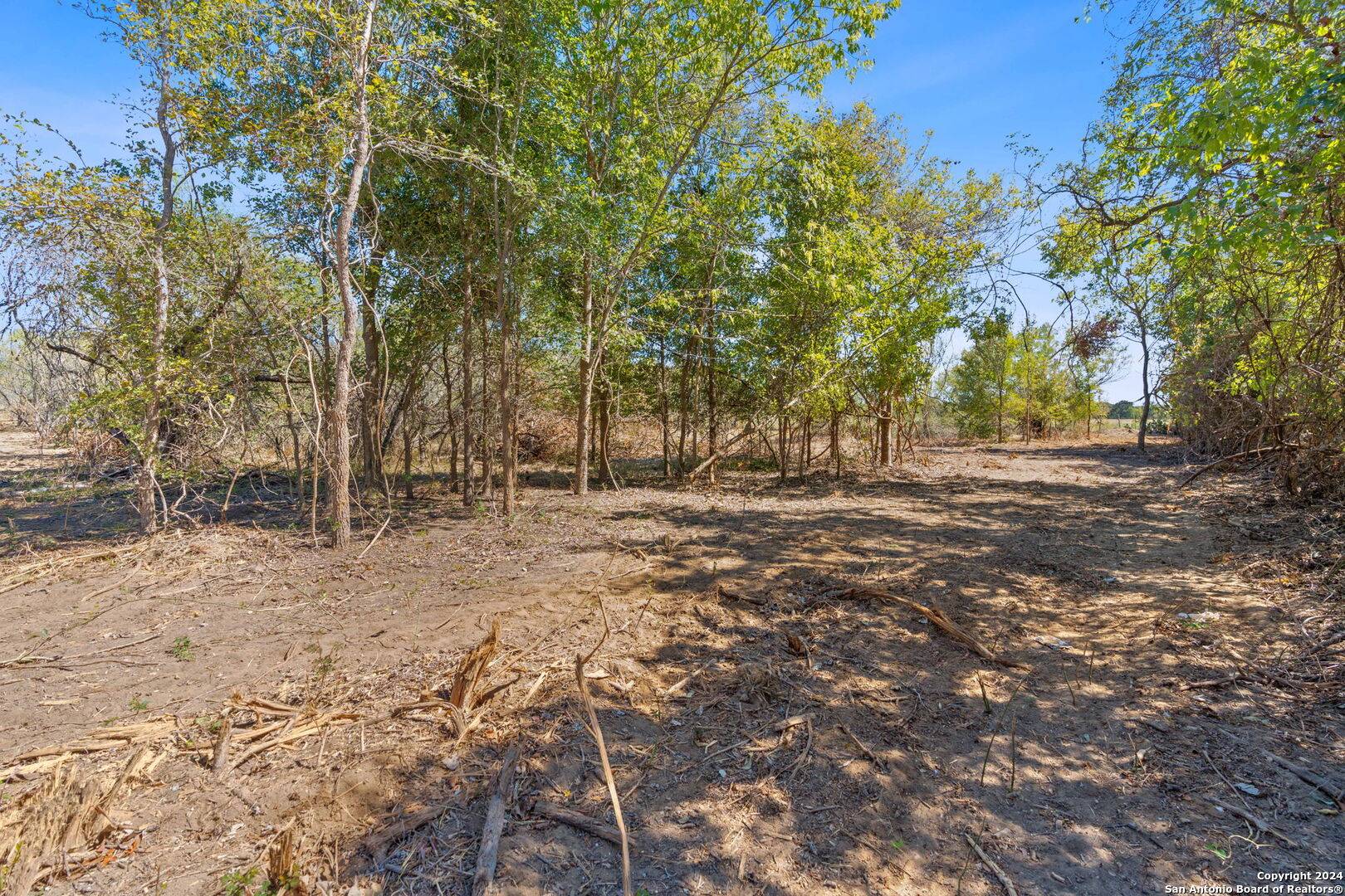 Dale, TX 78616,LOT 7 Tumbleweed Trail