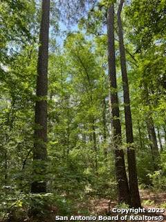 Woodville, TX 75979,00 Sir Robert Burns