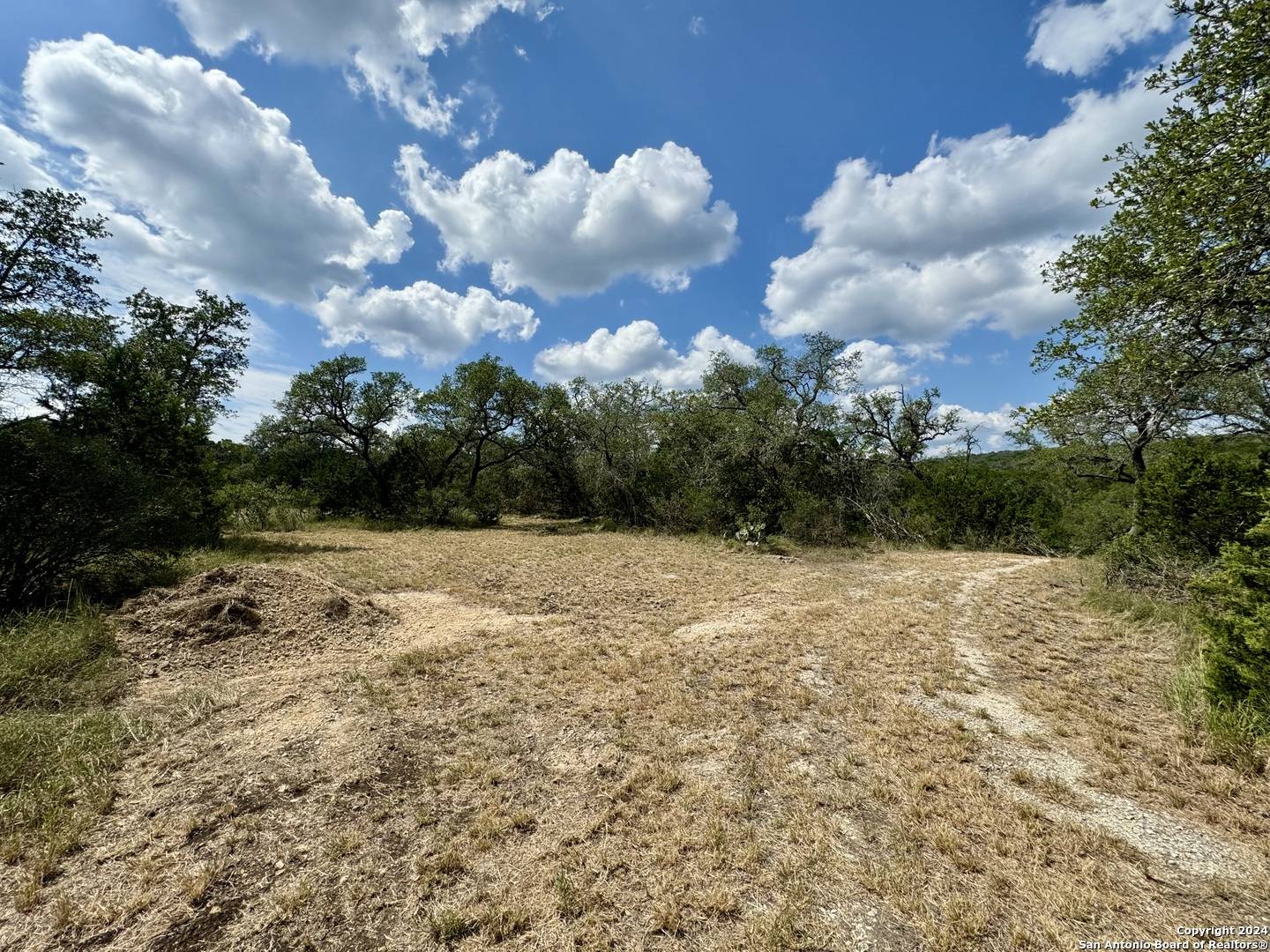 Mico, TX 78056,LOT 10 PR 2535