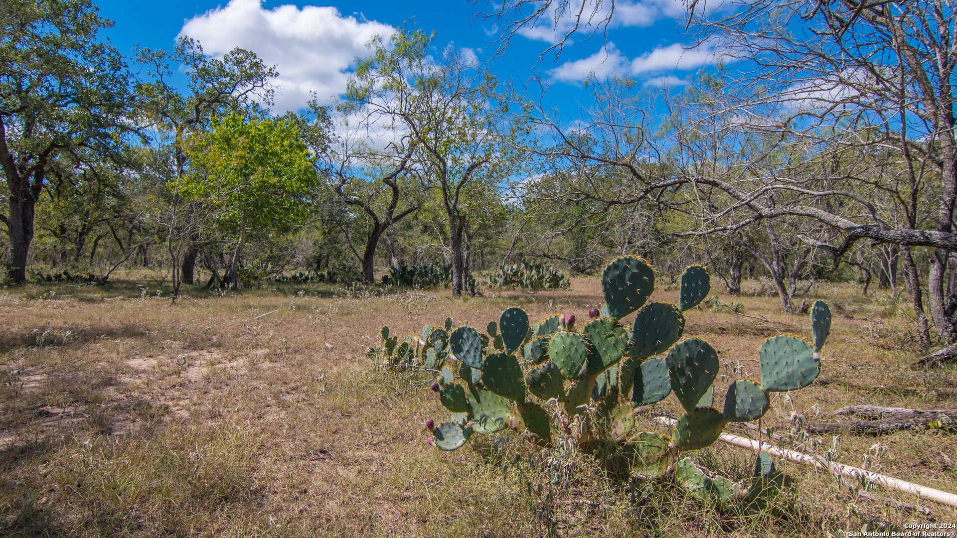 Stockdale, TX 78155,TBD County Road 434