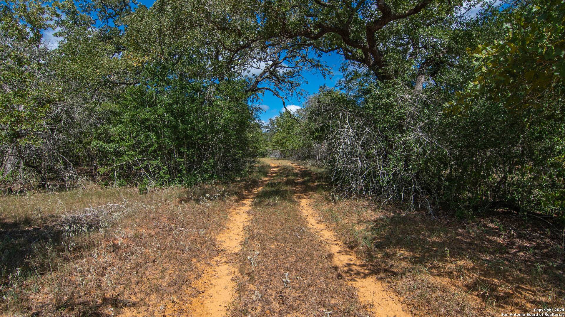 Stockdale, TX 78155,TBD County Road 434