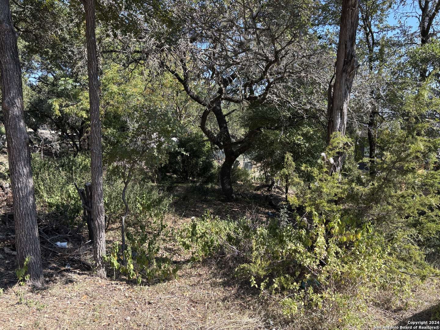 Canyon Lake, TX 78133,338 Grey Fawn