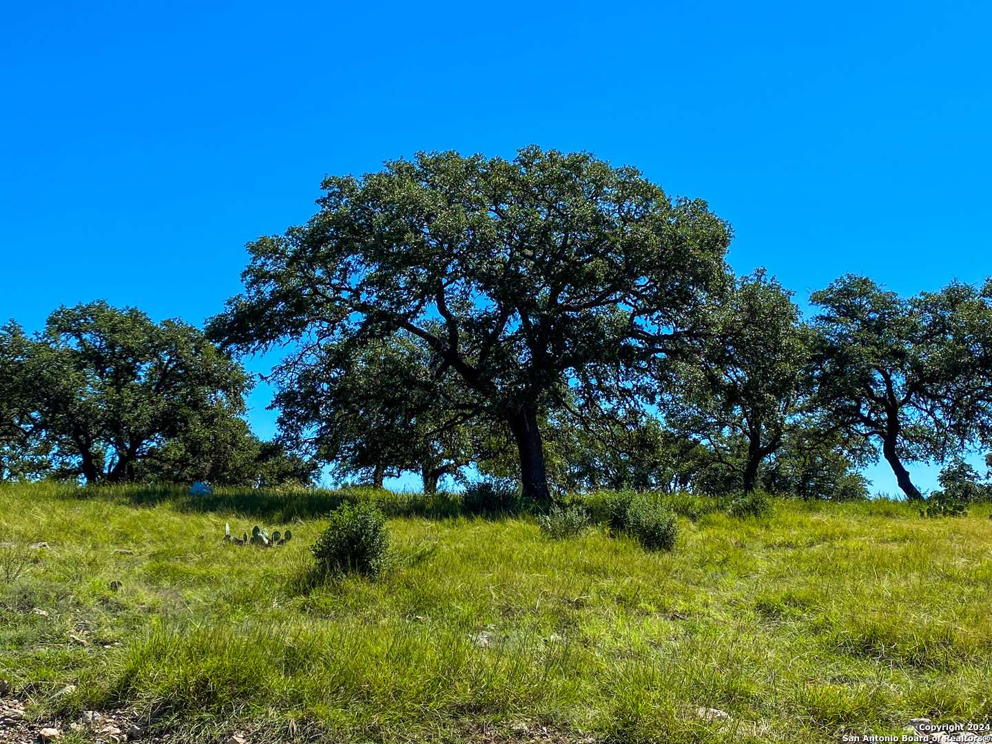 Kerrville, TX 78028,LOT 68 Loma Vista Ranch