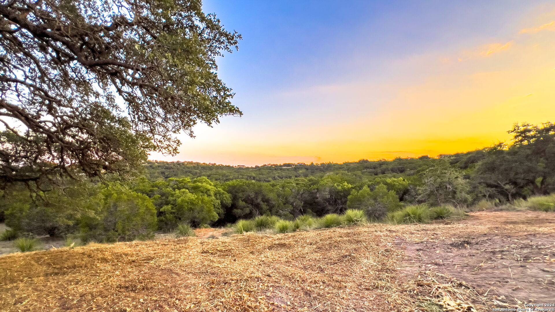 Spring Branch, TX 78070,512 GRAY FOX