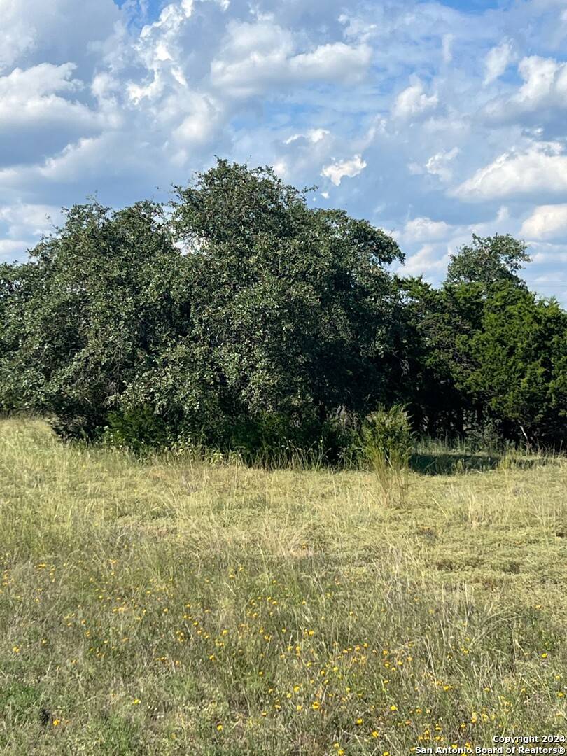 Spring Branch, TX 78070,317 Bosque Ridge