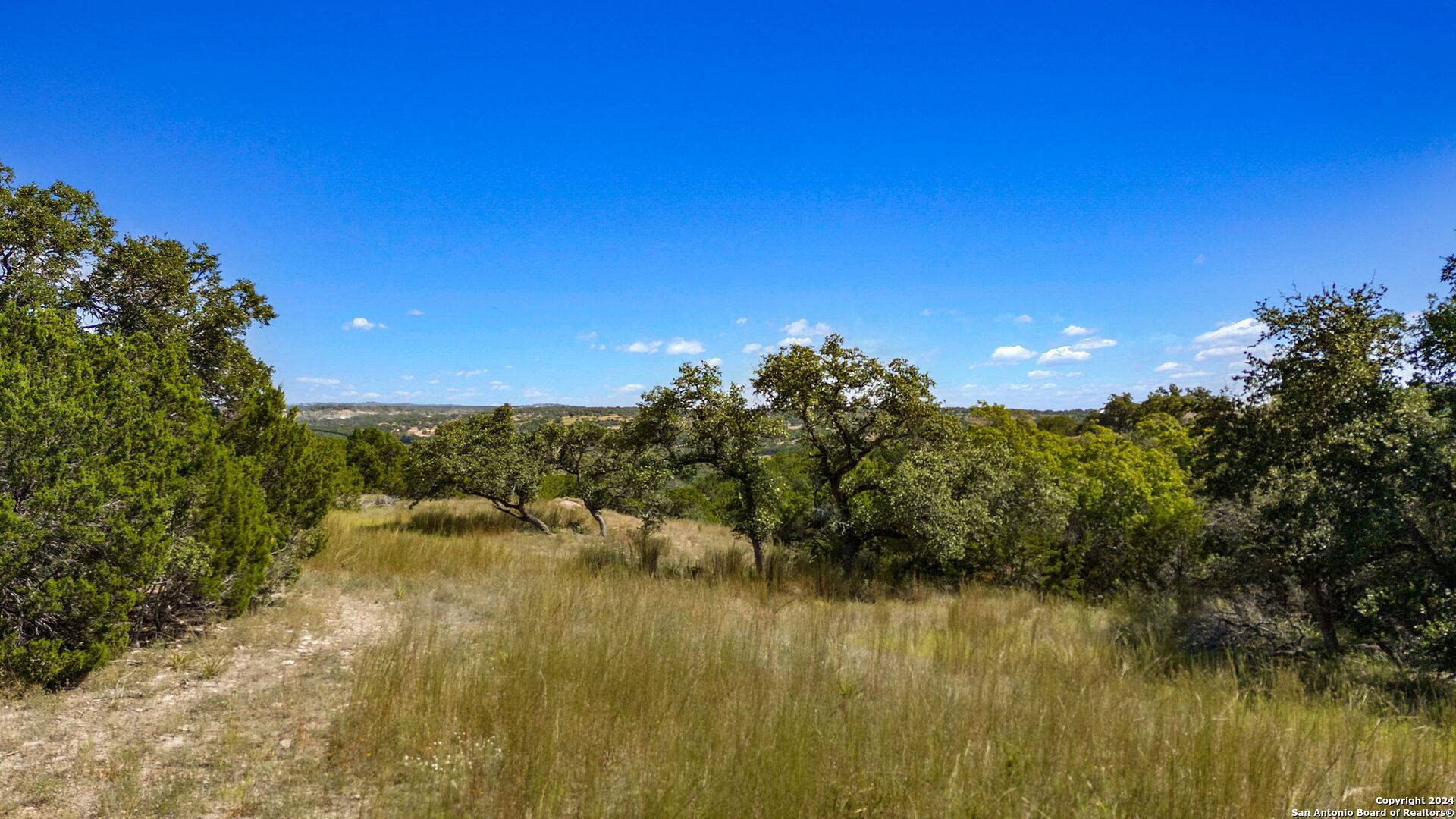 Spring Branch, TX 78070,455 BLACKBIRD DR