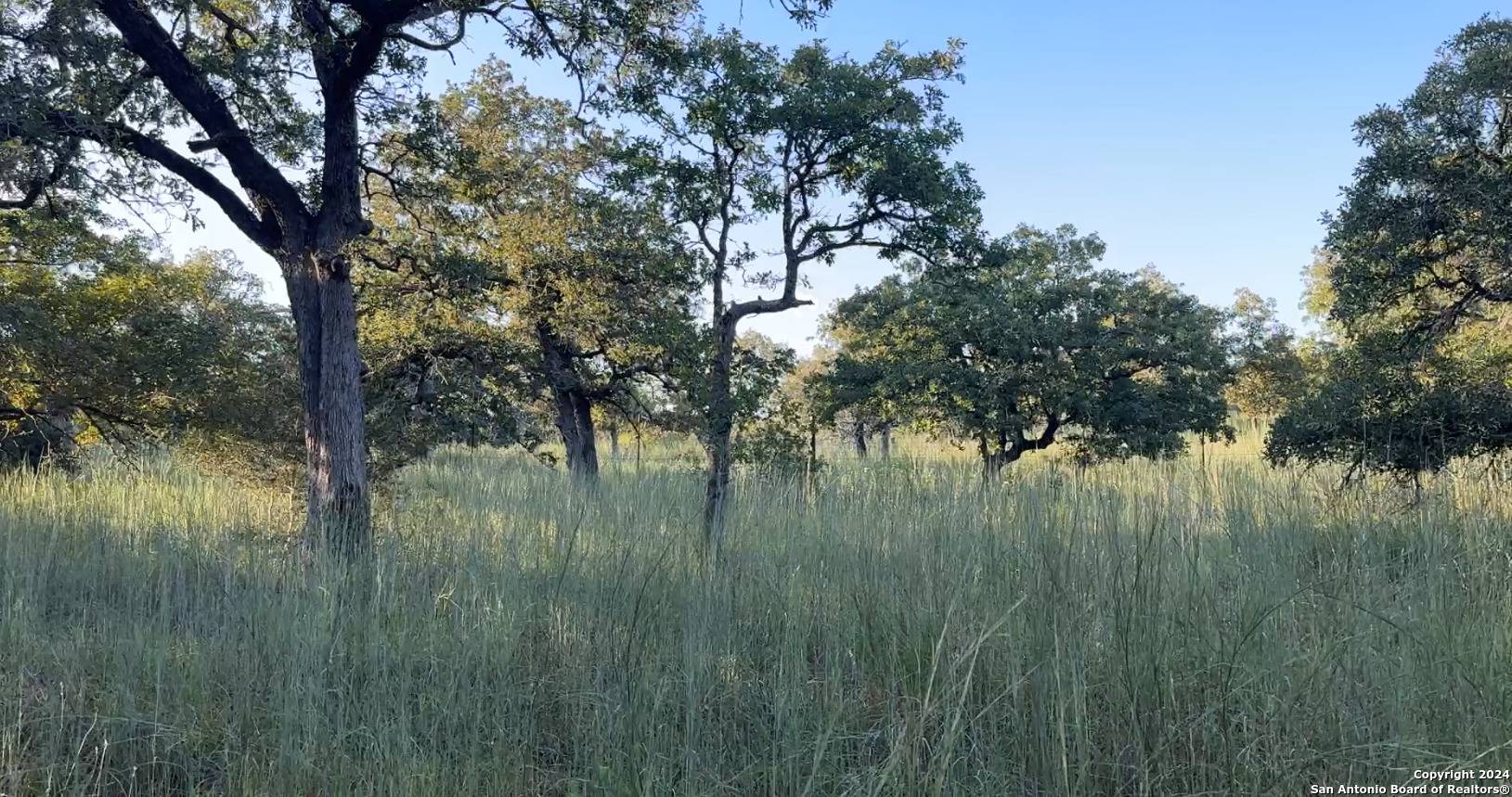 Seguin, TX 78155,910 Swallows Ln