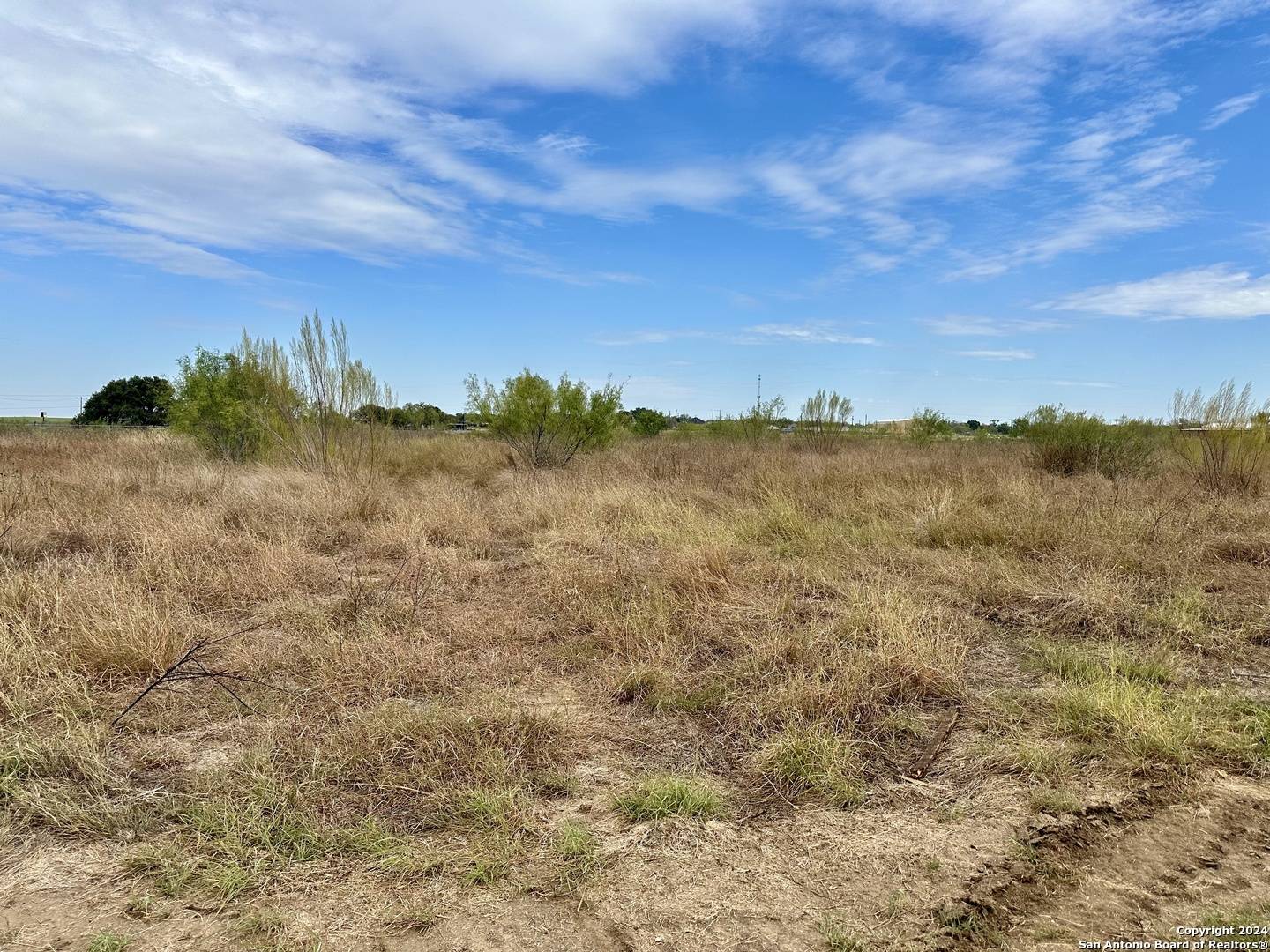 Pleasanton, TX 78064,536 Old Adams Ln