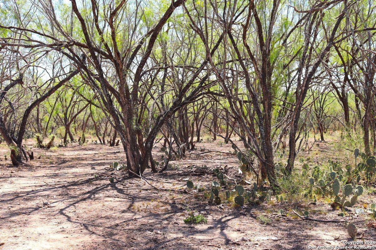 Bigfoot, TX 78005,11943 FM 472