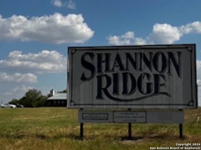 Floresville, TX 78114,118 SHANNON RIDGE DR