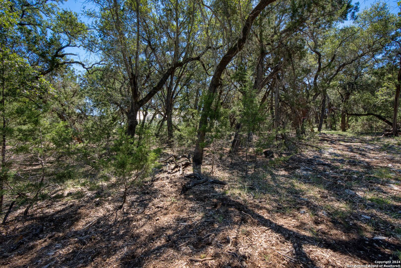 Boerne, TX 78006,9 STARWOOD