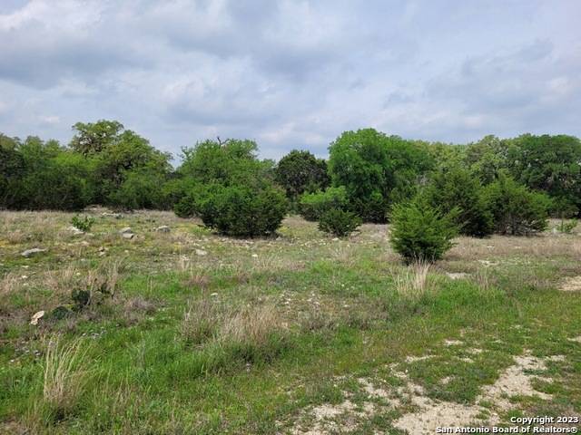 Pipe Creek, TX 78063,LOT 8 VAQUERO