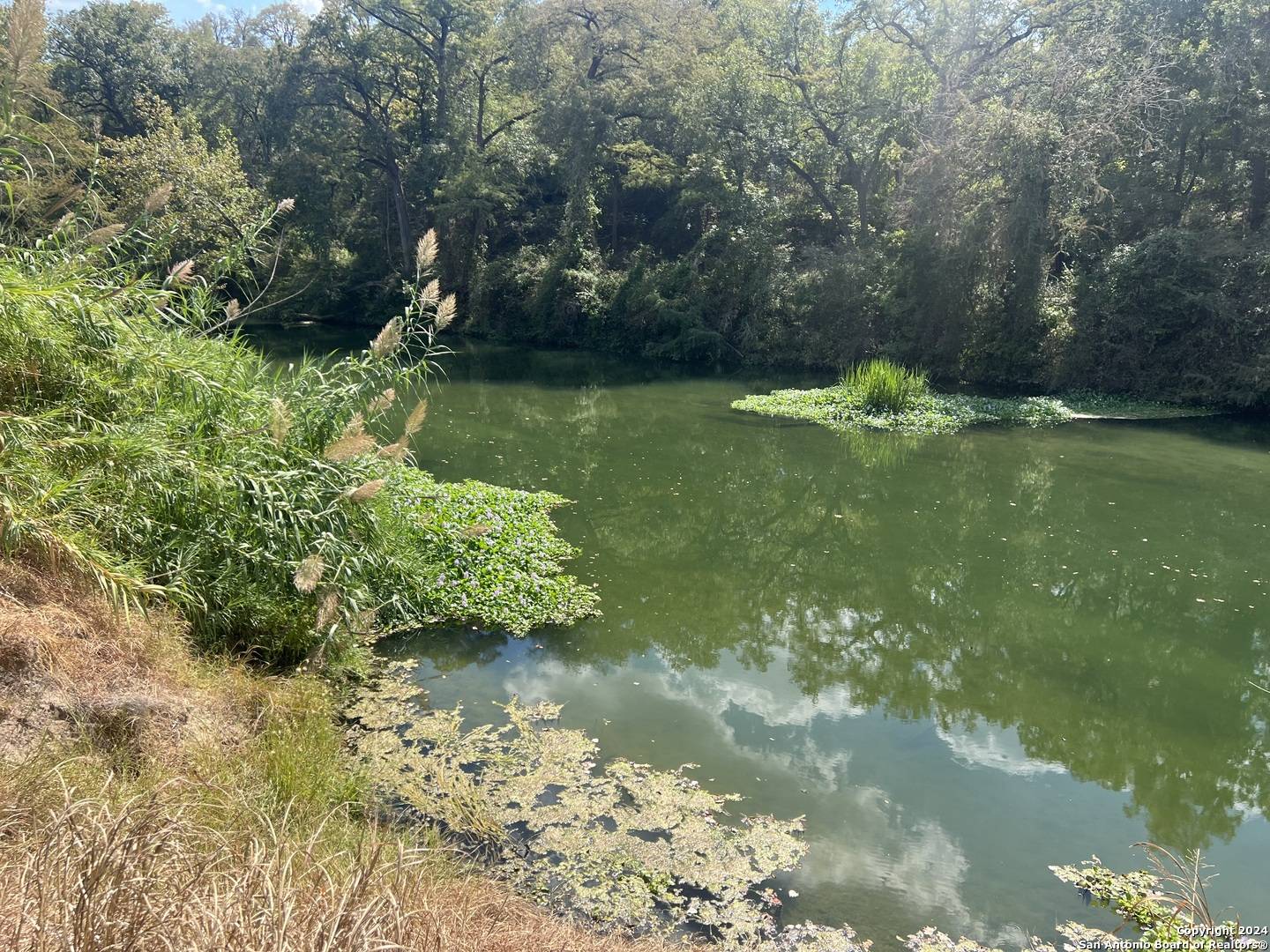 Seguin, TX 78155,1250 Darst Creek Lane