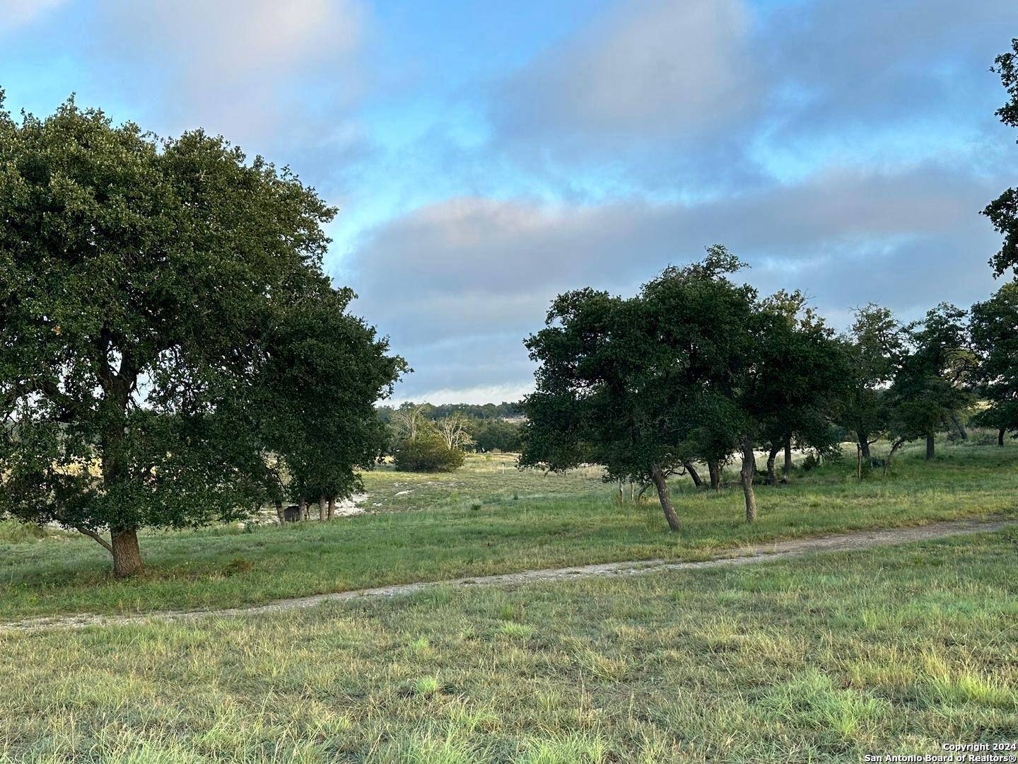 Fredericksburg, TX 78624,171 Flowering Sage