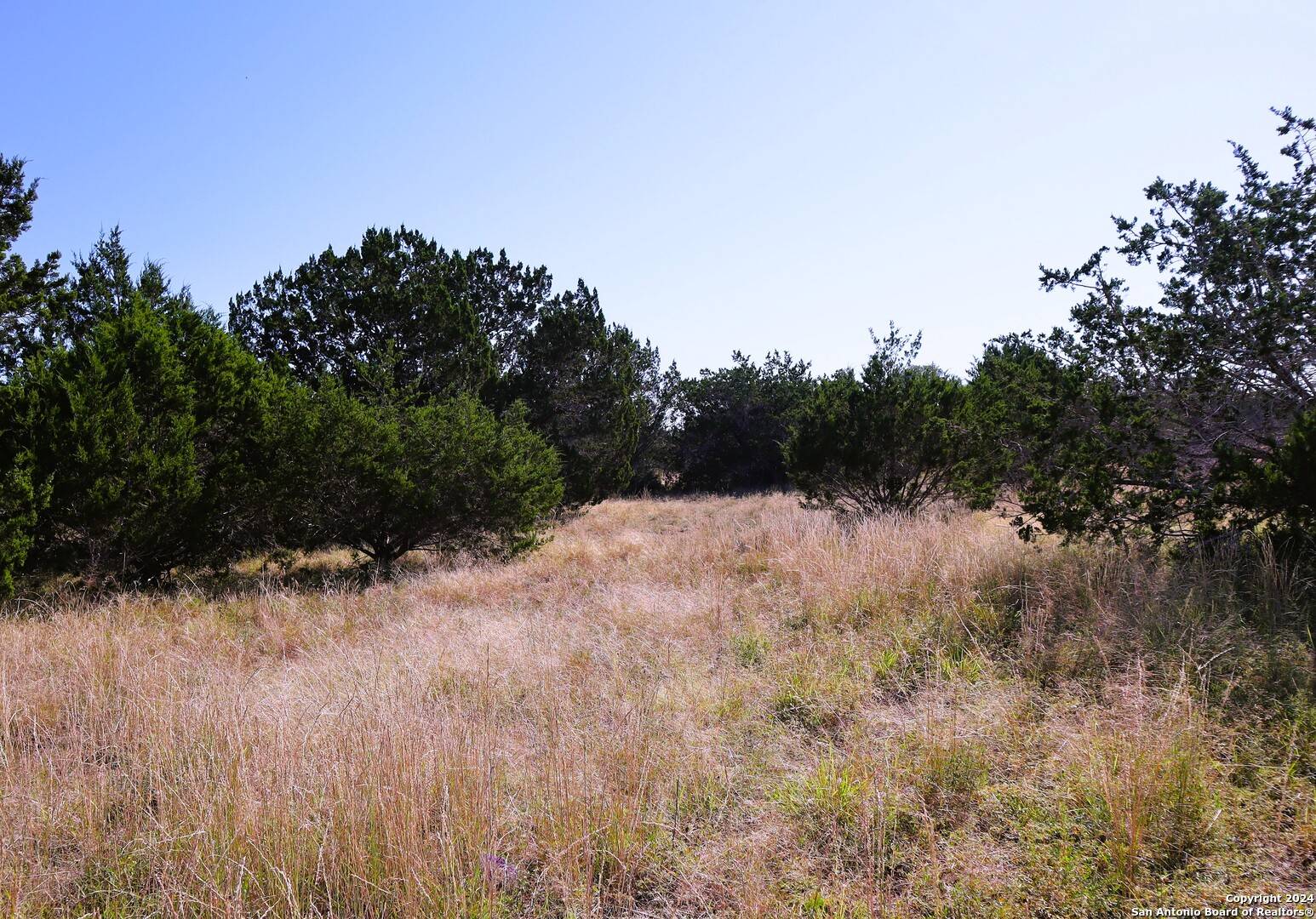 Bandera, TX 78003,LOT 122 Palomino Springs