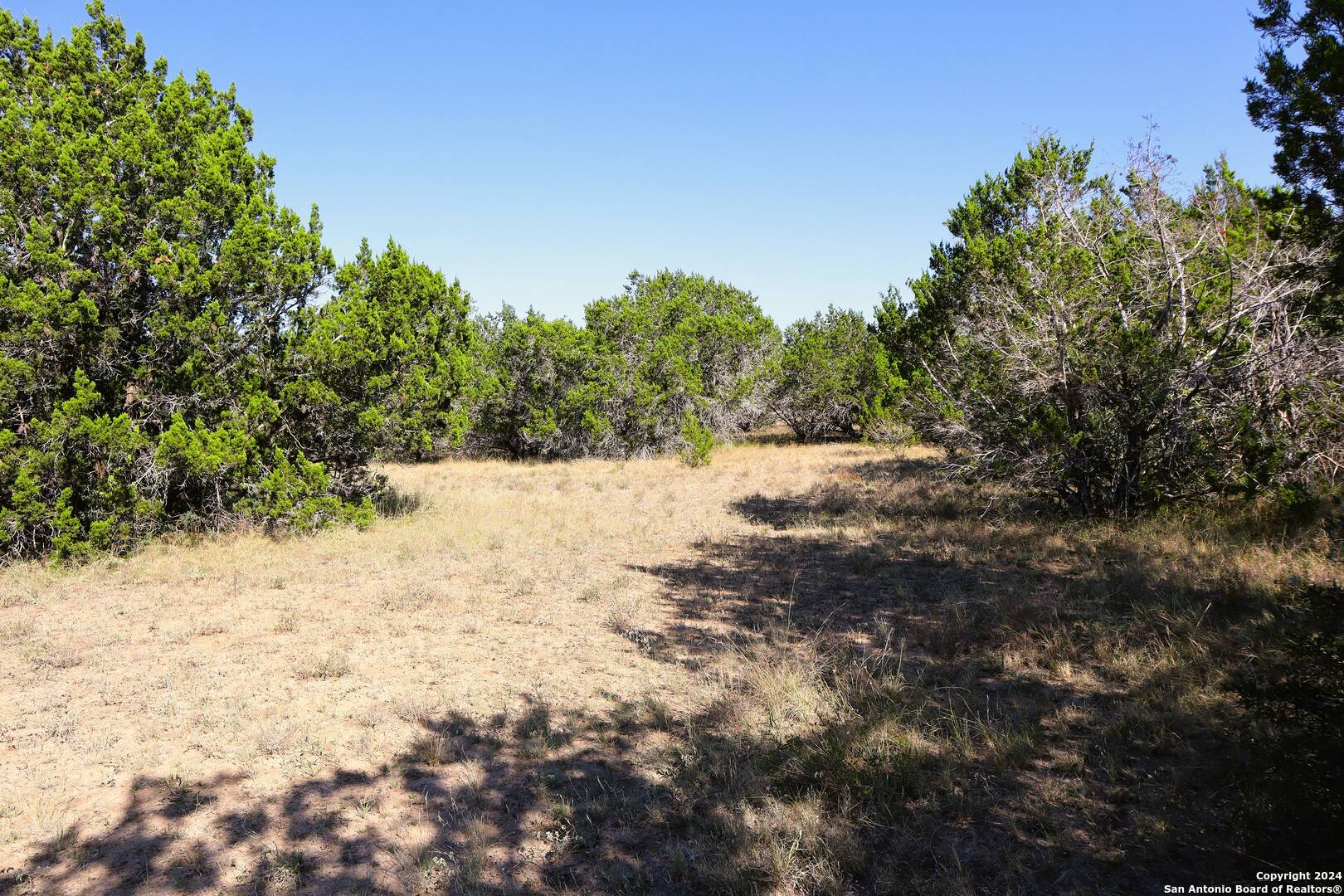 Bandera, TX 78003,LOT 122 Palomino Springs