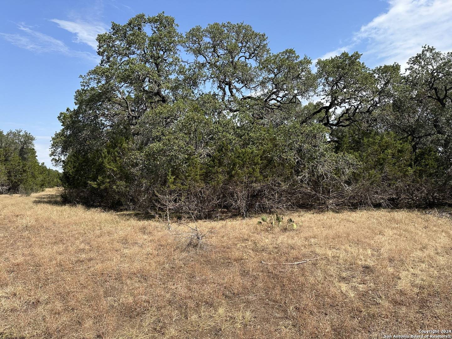 Spring Branch, TX 78070,290 Restless Wind