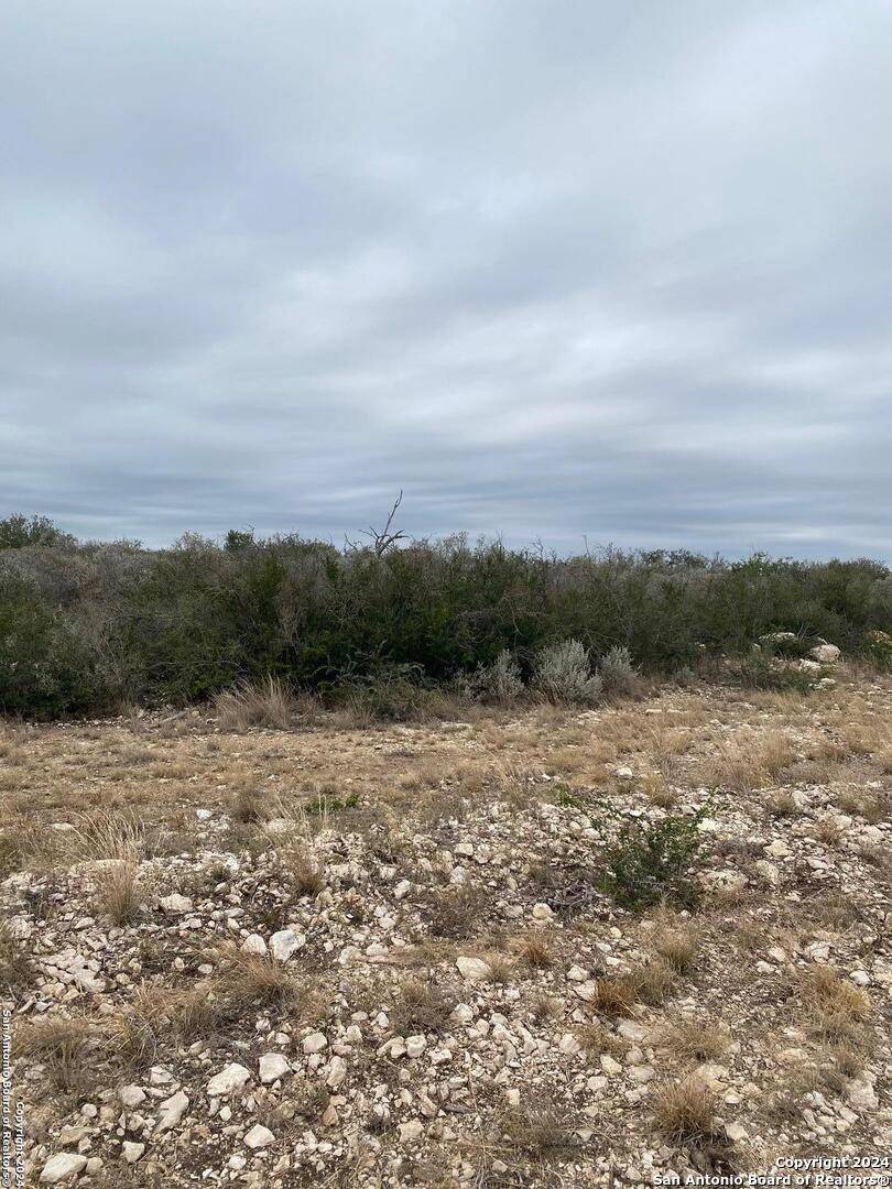 Uvalde, TX 78801,92 PALOMINO HILLS CIR