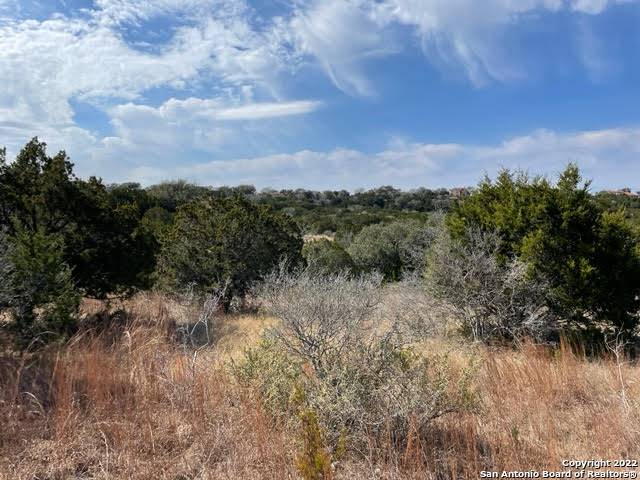 Spring Branch, TX 78070,1017 (LOT 1375) Flint Lane