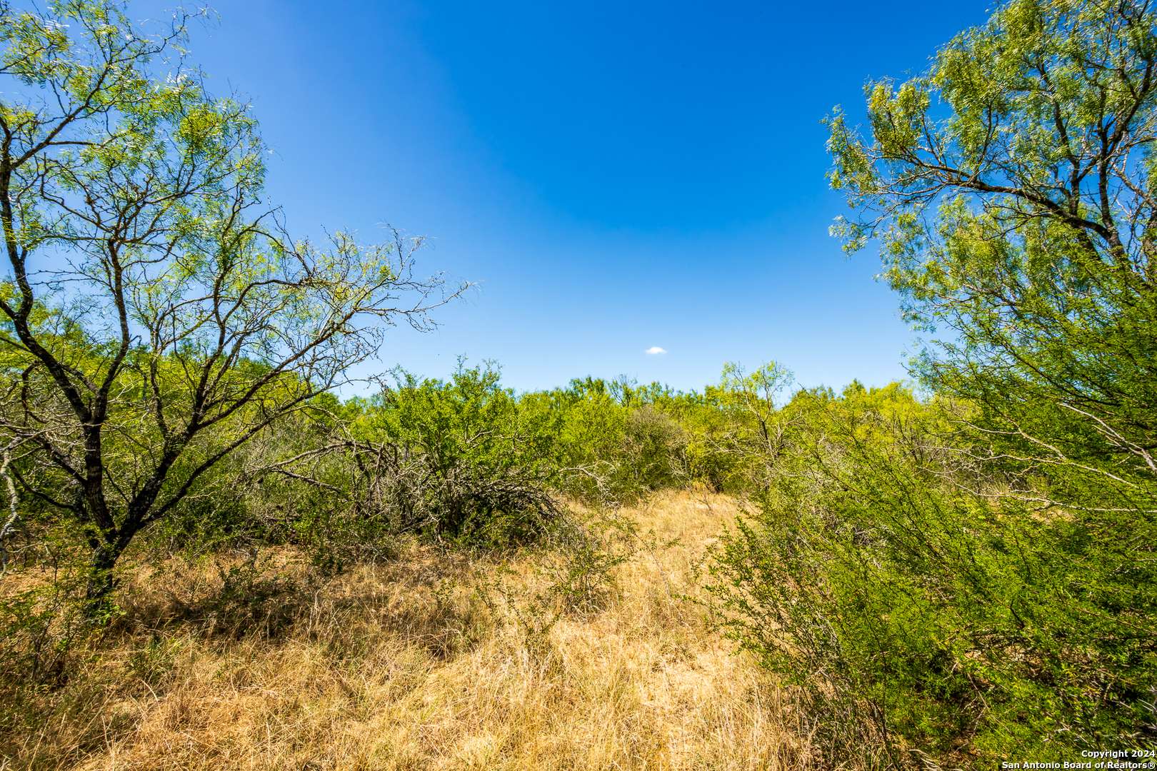 Devine, TX 78016,CR 6642 Cr 6642