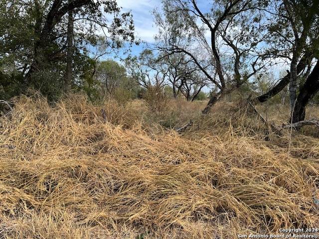 Leming, TX 78050,325 San Antonio Ave