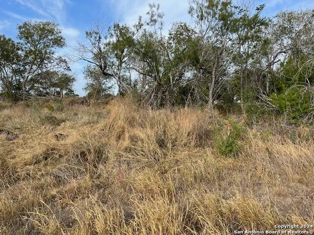 Leming, TX 78050,325 San Antonio Ave