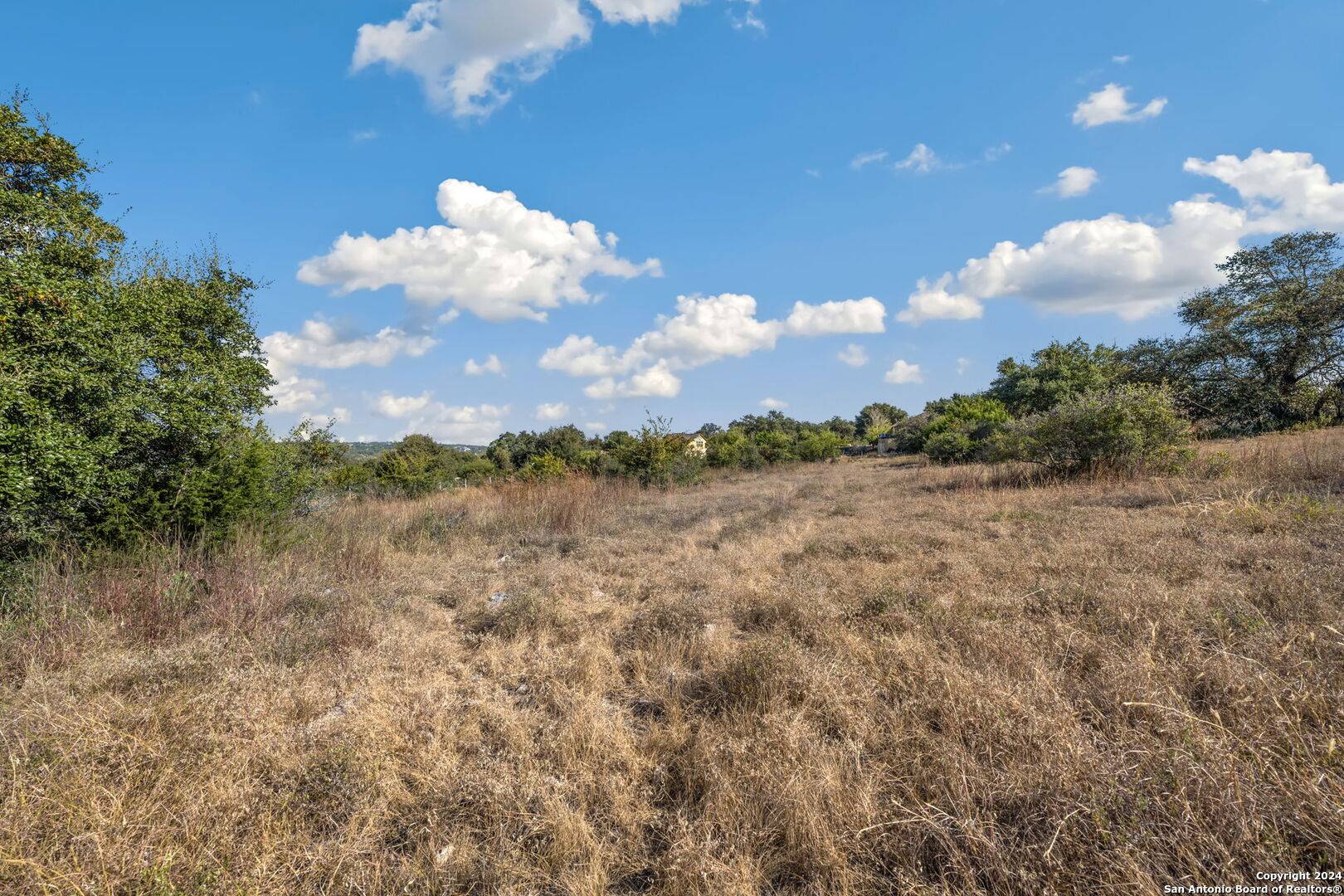 New Braunfels, TX 78132,1918 ROTHSCHILD