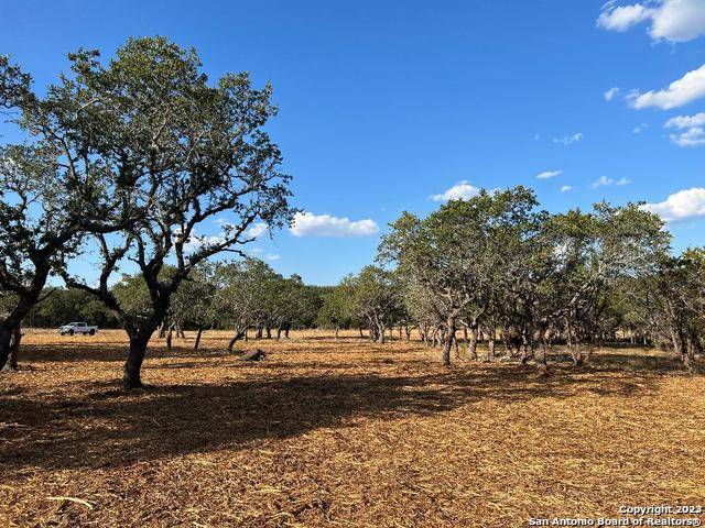Wimberley, TX 78676,000 Cambridge Rd