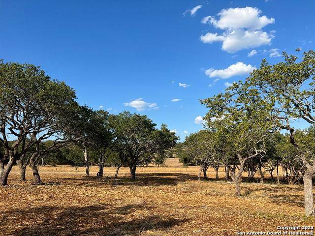 Wimberley, TX 78676,000 Cambridge Rd