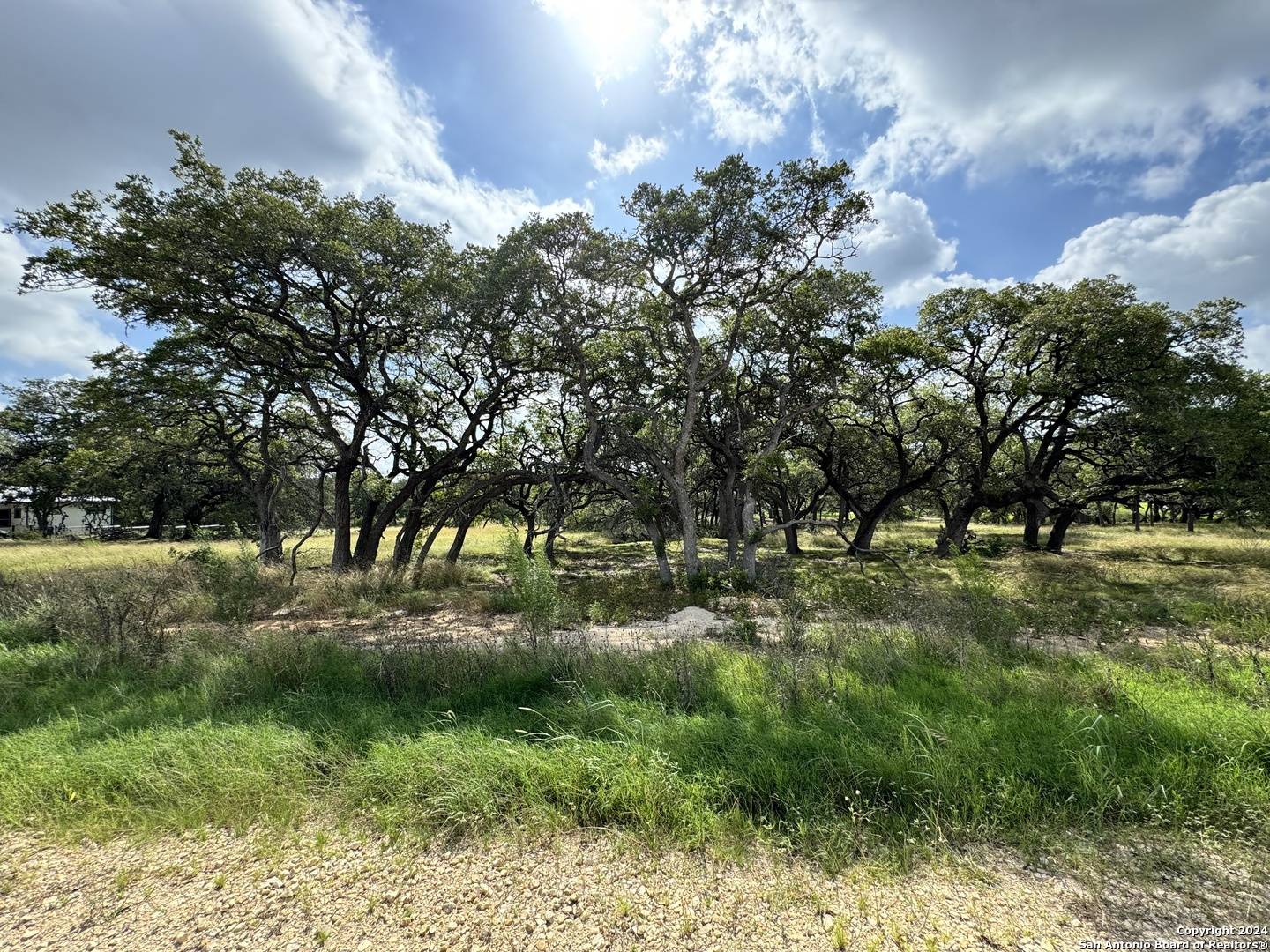 Bulverde, TX 78163,931 Maximino Ridge