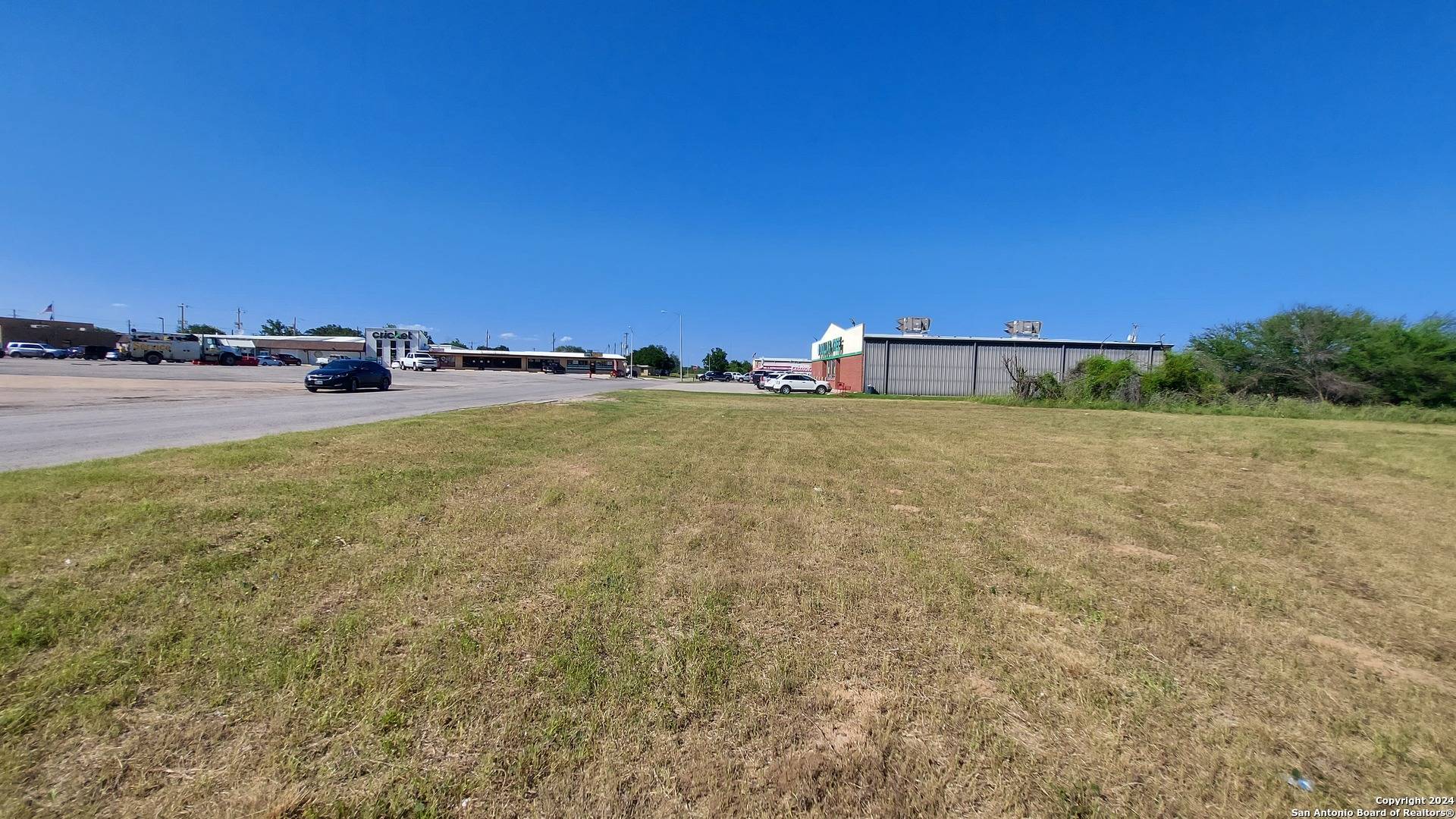 Devine, TX 78016,115 DIXON DR