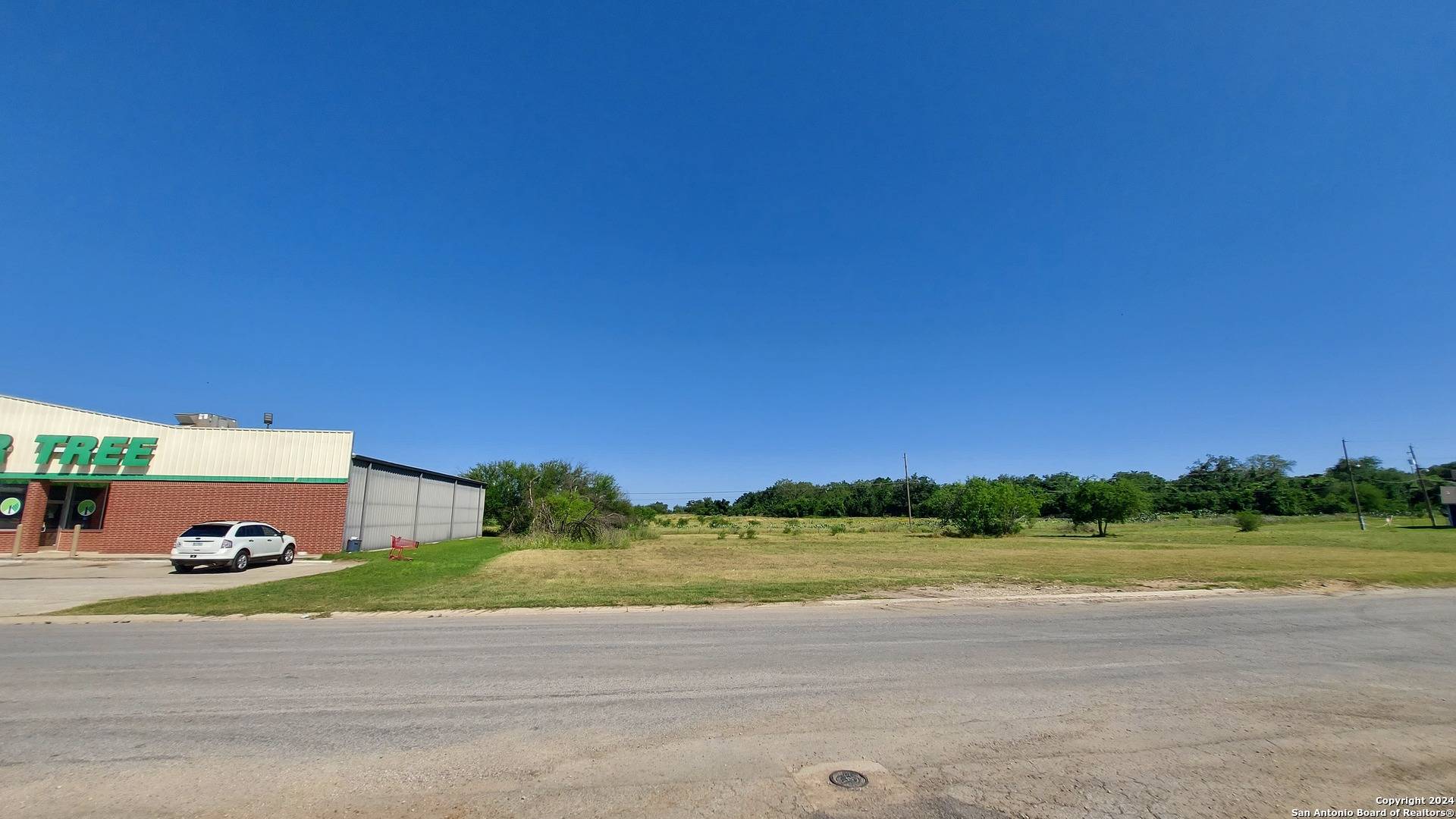 Devine, TX 78016,115 DIXON DR