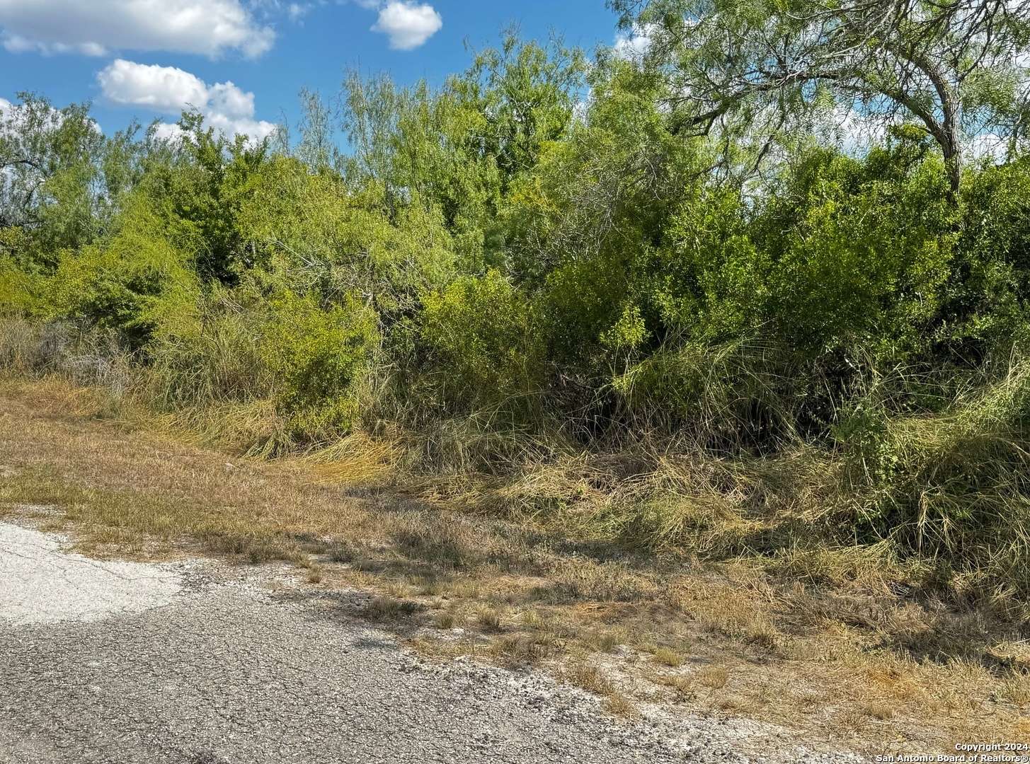 Sandia, TX 78383,112 Clearview Cir.
