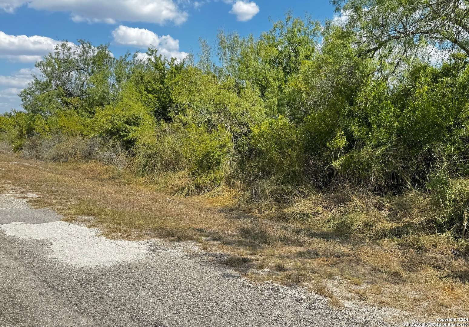 Sandia, TX 78383,112 Clearview Cir.