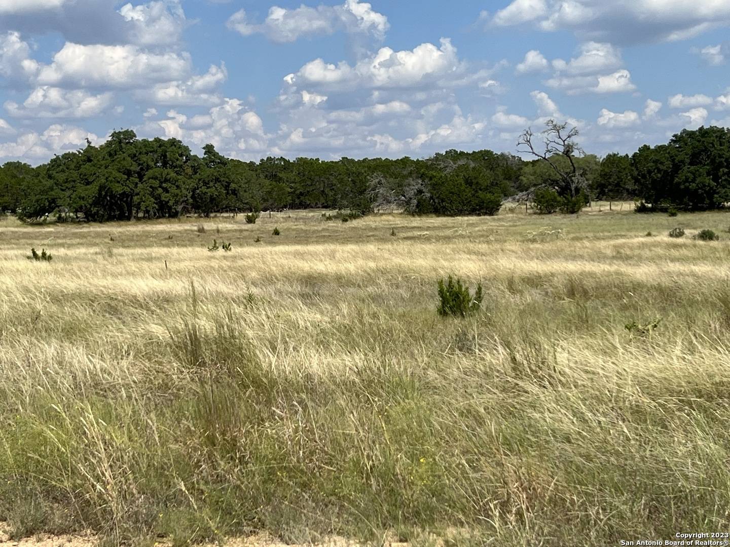 Bandera, TX 78003,LOT 47 Clearwater Canyon Rd