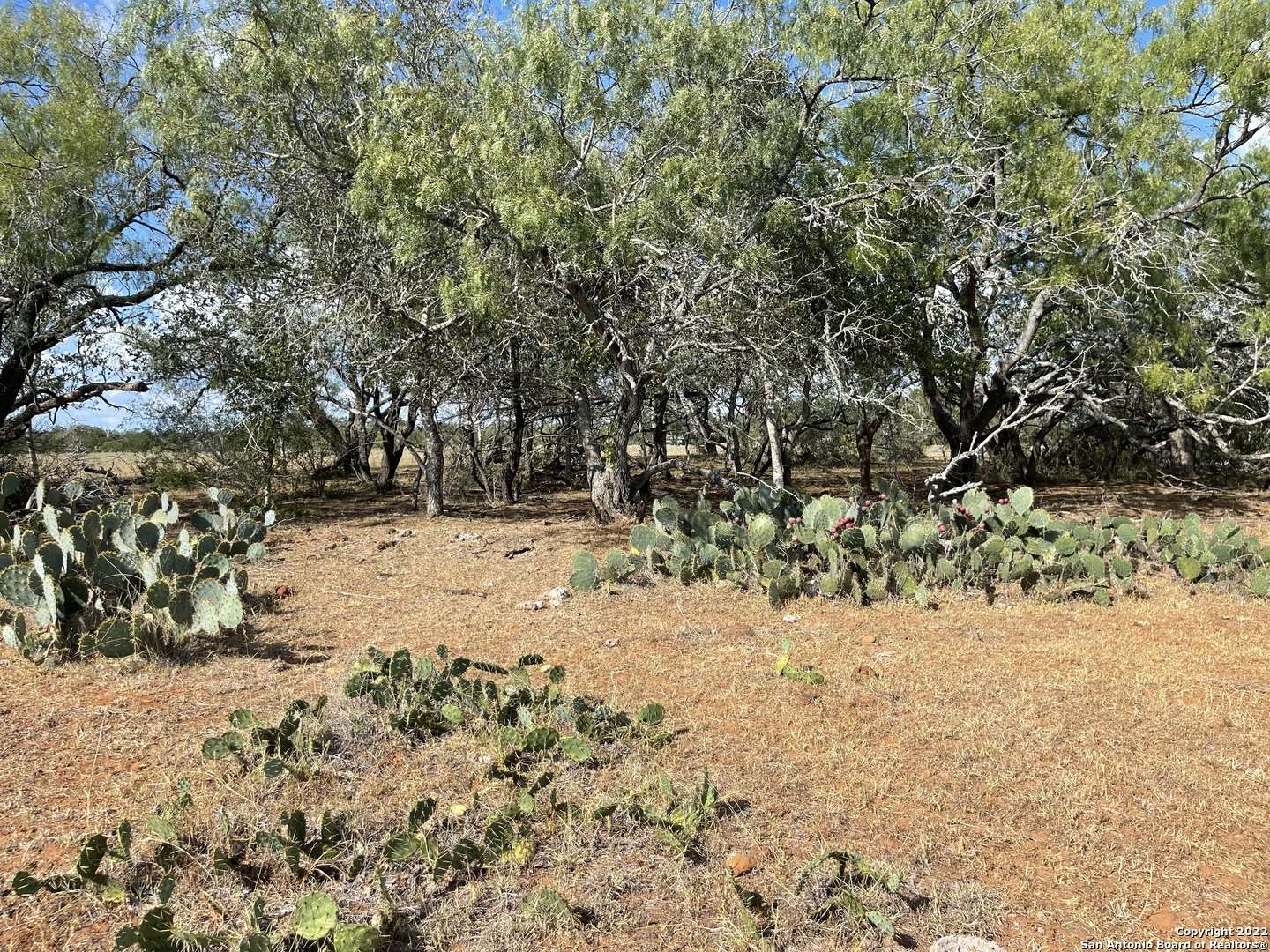 Stockdale, TX 78160,TBD County Road 474, Tract 4