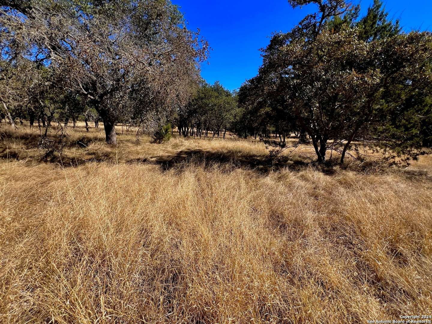 Mountain Home, TX 78058,320 sky harbor