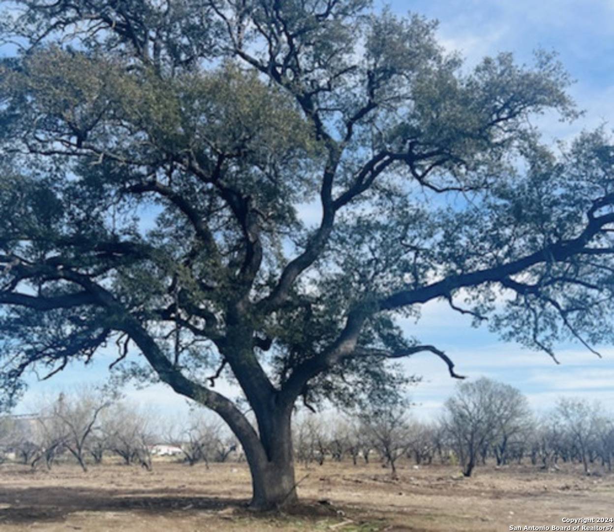 Uvalde, TX 78801,3245E US Highway 90