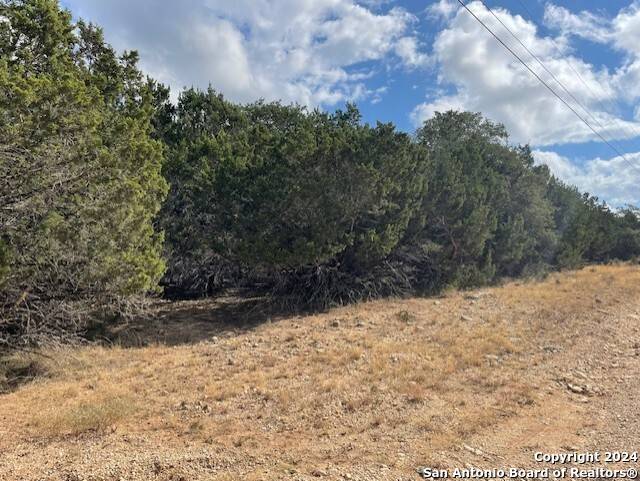 Bandera, TX 78003,TBD Oak Ln Lot 33-42