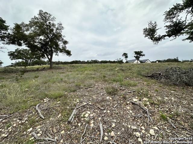 Bulverde, TX 78163,675 Butler Oaks