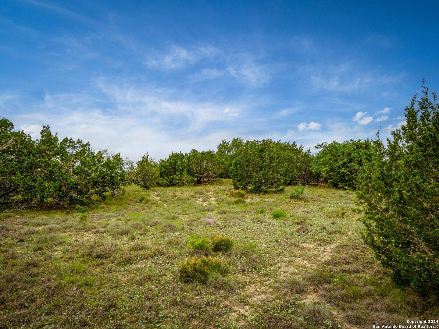 Boerne, TX 78006-5963,207 Lantana Hollow