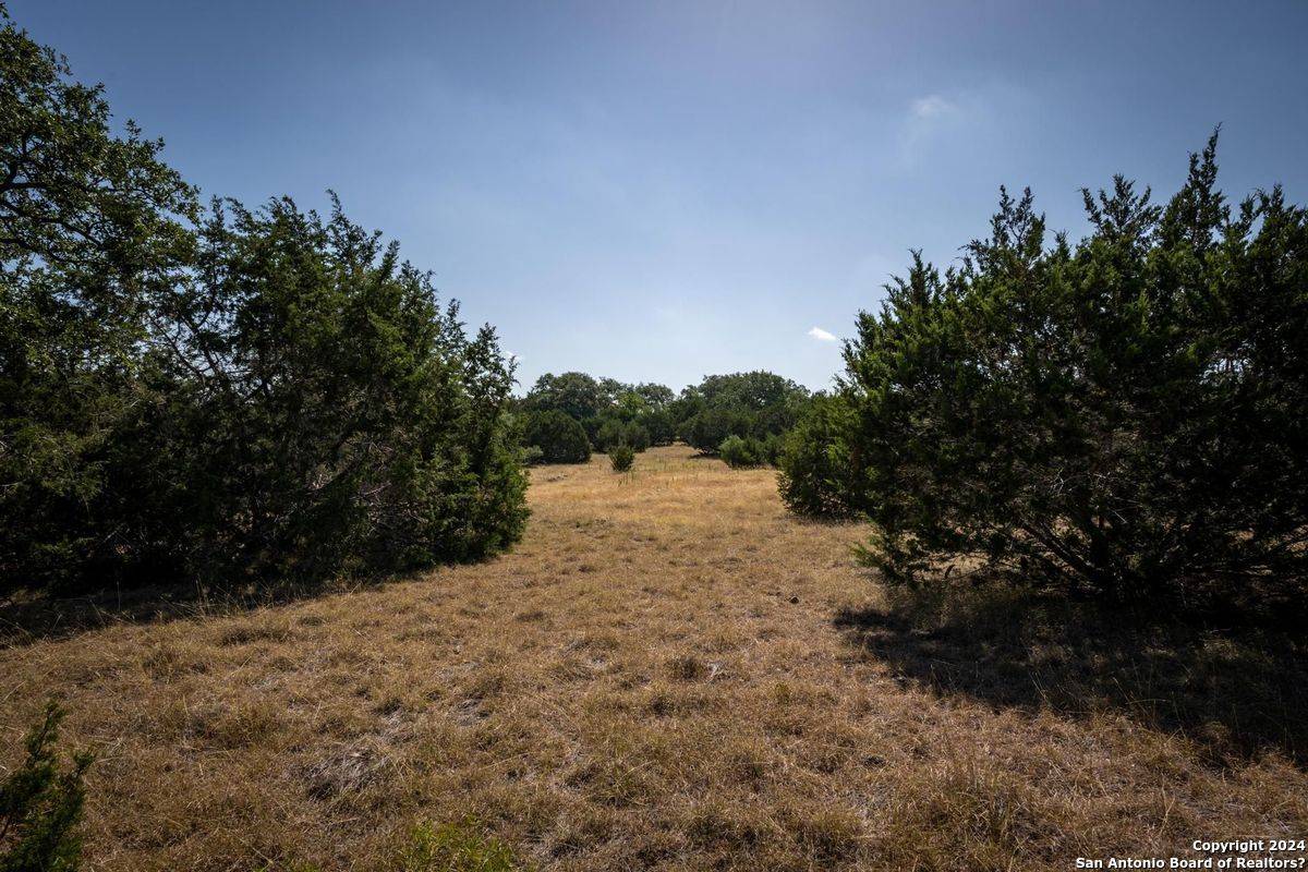 Boerne, TX 78006,LOT 41 Sotol Ln