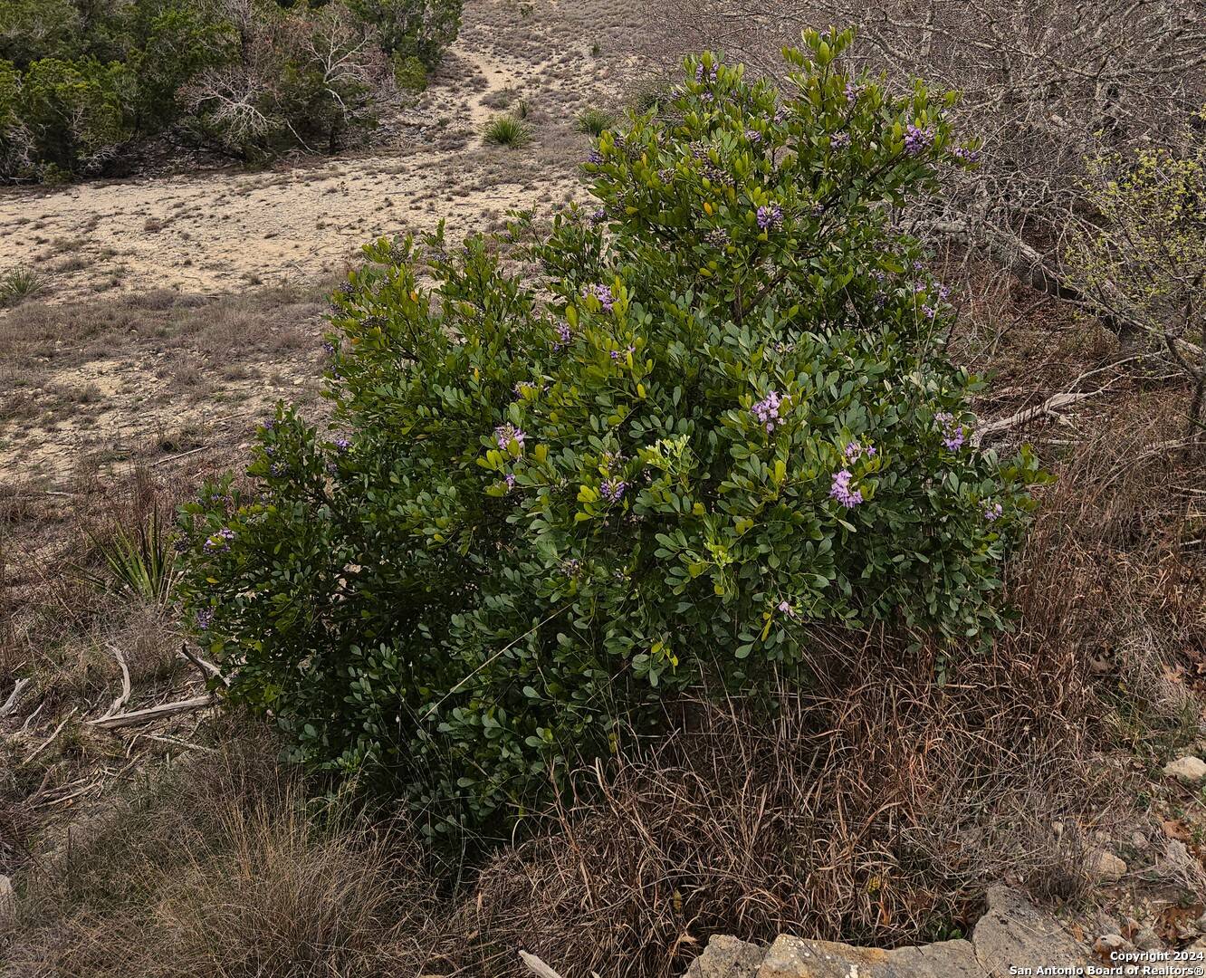 Boerne, TX 78006,LOT 75A HIGH POINT RANCH RD