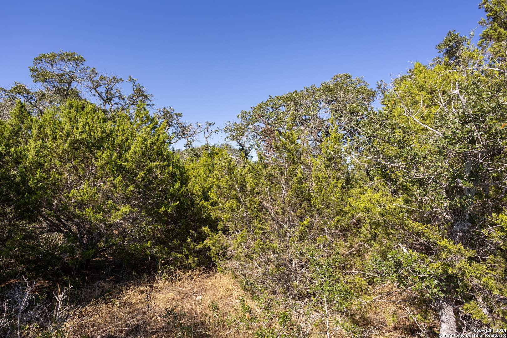 Boerne, TX 78006,BLOCK 1, LOT 15 Standing Tall