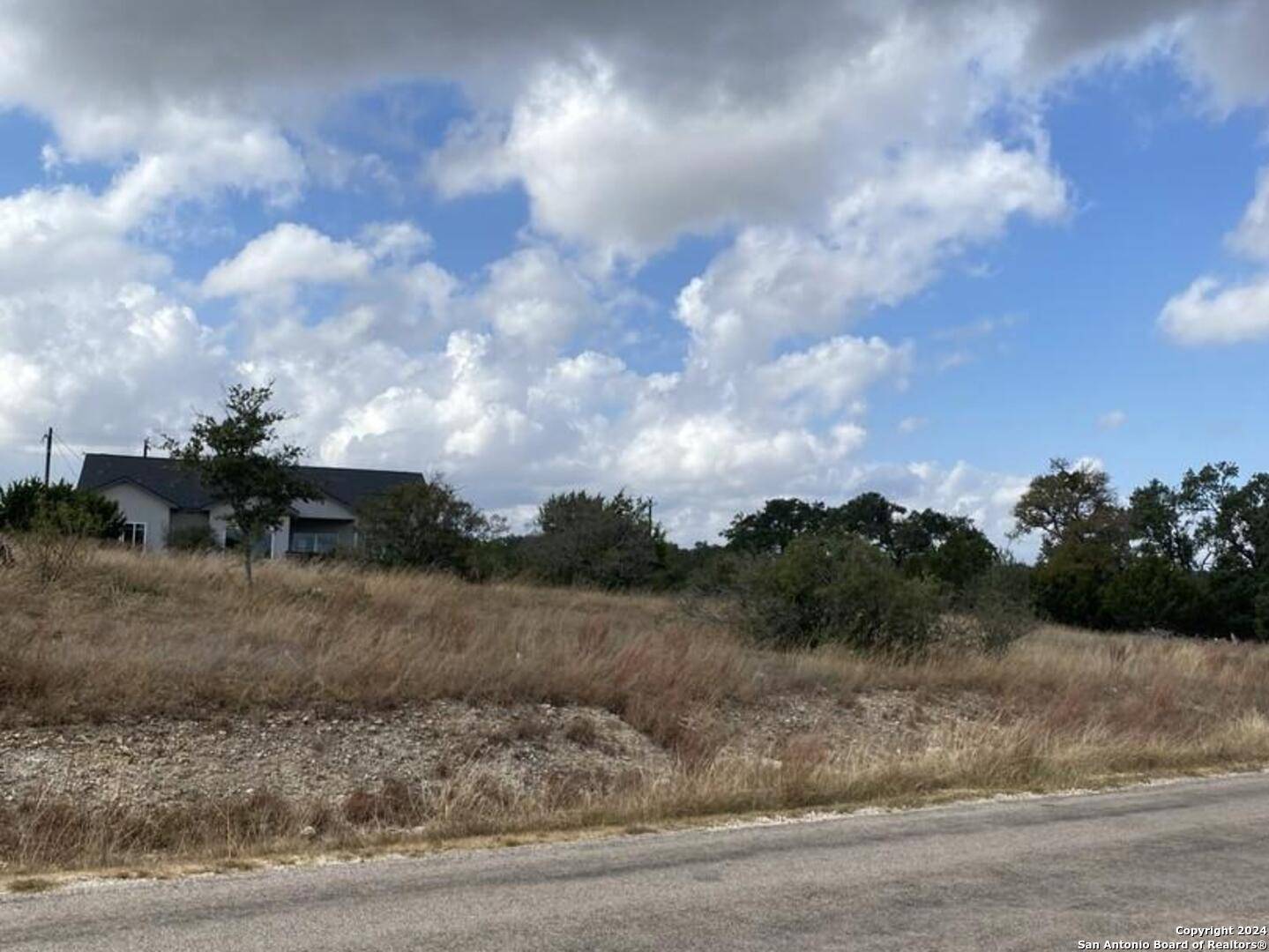 Blanco, TX 78606,116 Lewis Todd Lot A