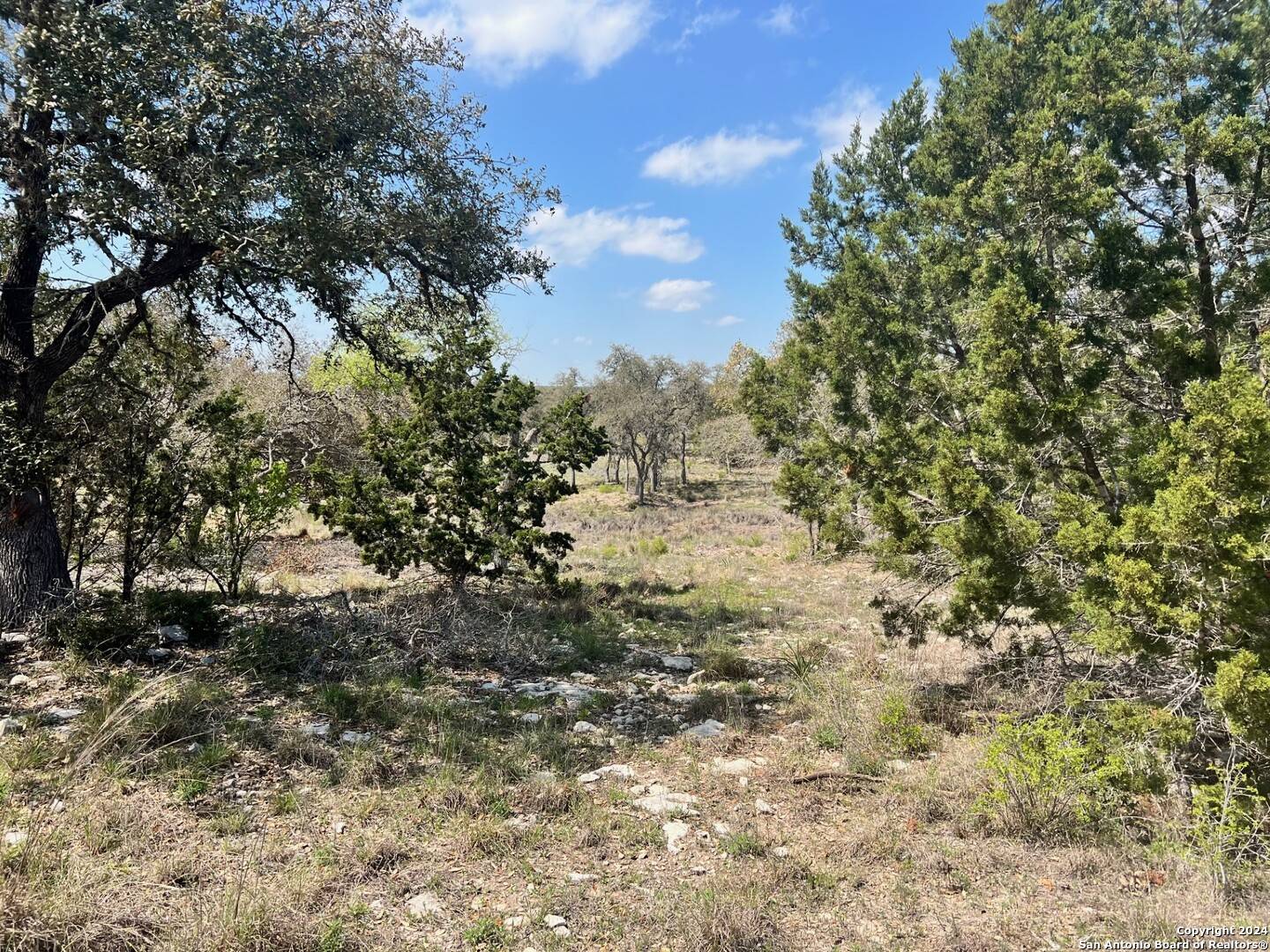 Spring Branch, TX 78070,288 River Cliff Pl