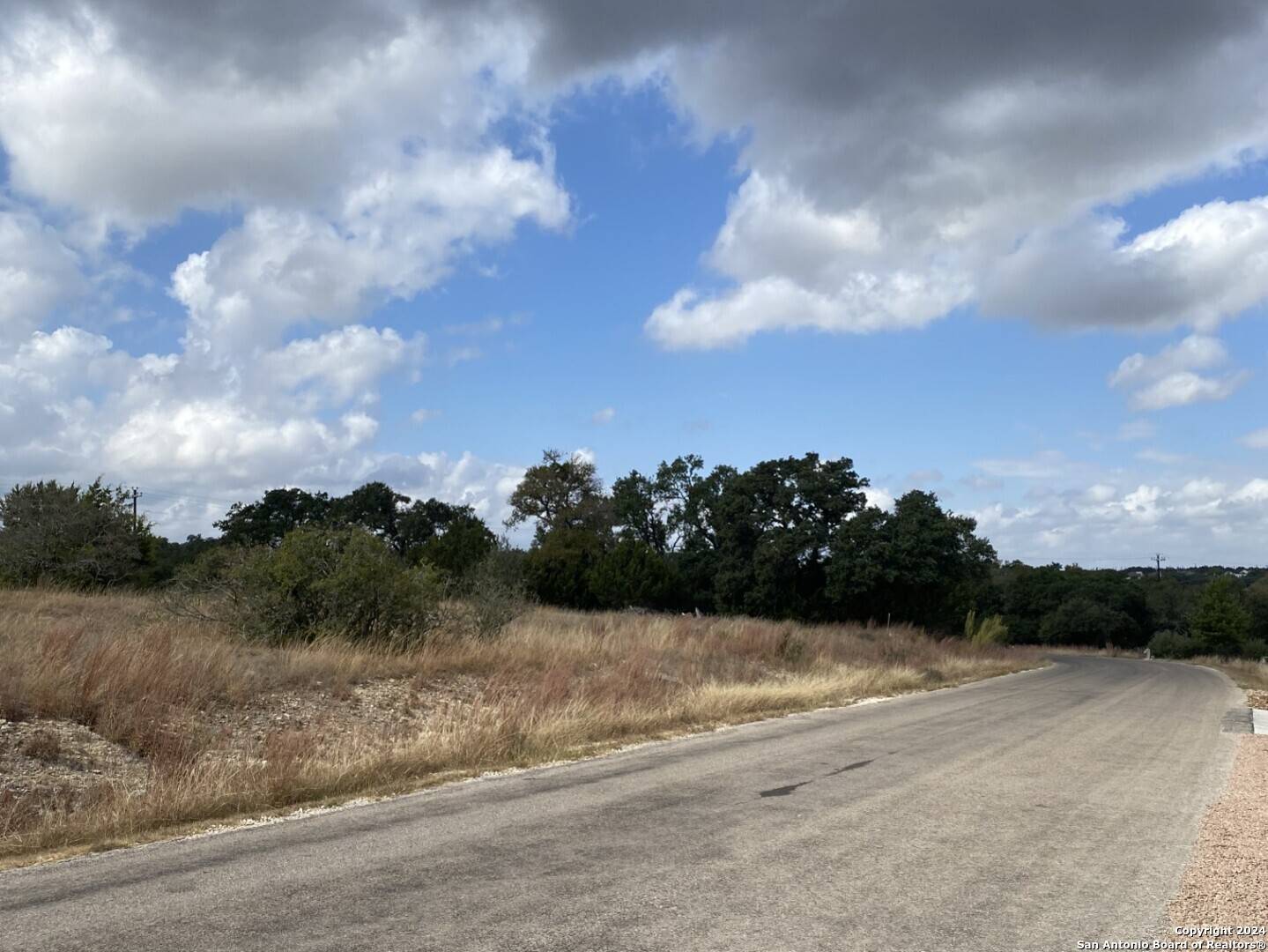 Blanco, TX 78606,116 Lewis Todd Lot B